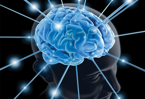 Banner of Fast Brain