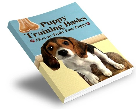 Banner of Puppy Training